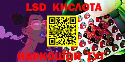 мяу мяу мука Кимры