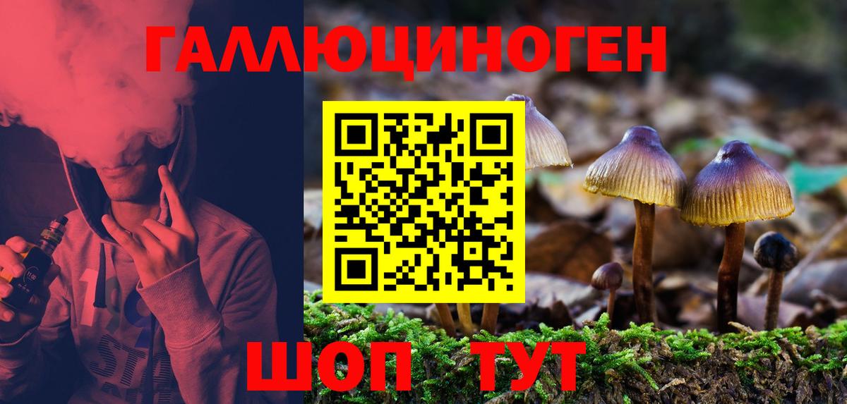 Галлюциногенные грибы Psilocybe Лысьва